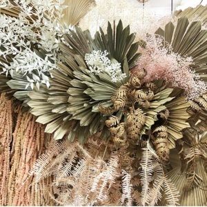 Meet your Posher, Amie